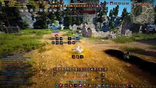 Six months BDO journey with Tamer (PvP)