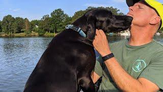 Mobjack Bay, Virginia || Sailing with Labmaraner Dogs || Bird Dogging from the Dinghy!