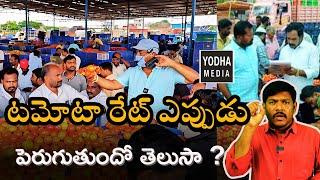 tomato price increase |why tomato price fluctuations explained