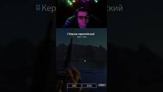 Синий керчак #shorts #russianfishing4  #русскаярыбалка4 #yaroxa