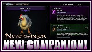 CLAIM FREE ITEMS: Chicken Companion Tested! (ranked st) 50 Tokens & Vanity Pet! - Neverwinter