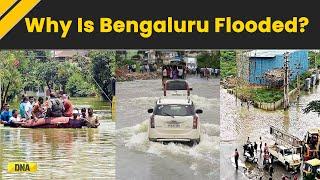 Bengaluru Floods Update: Why Is Bengaluru Prone To Flooding, What Causes Flooding? Bengaluru Rains