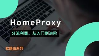 HomeProxy使用教程，添加节点|过滤广告|秒解析| 添加订阅|流量分流，OpenWrt软路由翻墙，从入门到进阶的使用，非常好用的一款分流插件，值得了解#一瓶奶油