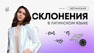 Склонения в латинском языке