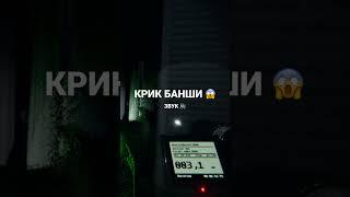 РЕДКИЙ КРИК БАНШИ | Phasmophobia / Фазмофобия