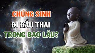 CHÚNG SINH Đầu Thai Chuyển Kiếp trong bao lâu? | Nghe để thêm hiểu biết