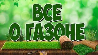 ГАЗОН и все о нем  Газонная трава    сад огород с Хитсад