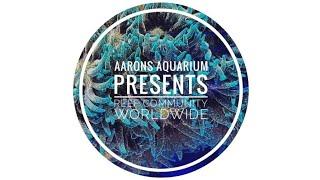 Aarons Aquarium Presents: Reef Community Worldwide