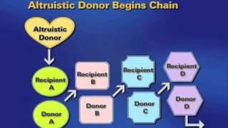 Kidney Donor Education