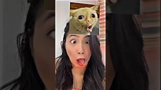 Cat meme face  wait for me #shorts #comedy #viralvideo