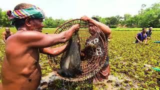 Traditional Fishing By Taufikur Rahman