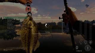 Fishing Planet - Friday  Competitions and Misson Fishing