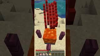 So wirst du der neue Minecraft-Pro  | Tipps für Anfänger #shorts #crazy #minecraft #funny