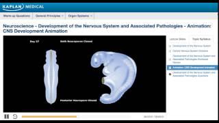 USMLE® Step 1 Neuroscience: Development of CNS Animation