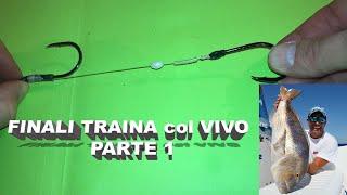 Come realizzare Finali da Traina col Vivo -Tutorial N. 1-