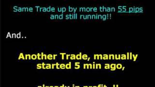 Forex Profit Farm - Best Forex Day Trading System