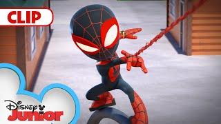 Gobby Steals all the Bees | Marvel's Spidey and his Amazing Friends |  @disneyjr​