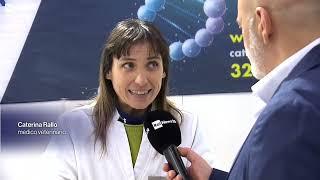 Quattrozampeinfiera - Rai News 24