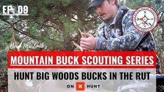 HOW TO HUNT BIG WOODS BUCKS IN THE RUT | Mountain Buck Scouting Series | Ep. 09