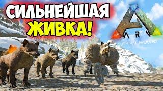 Самая ИМБОВАЯ СТАЯ в ARK? Зачем ТАМИТЬ Скорпиона, Саблезуба, Ответ от АРКЕРА ДИЕГО! Хроники АРКа #10