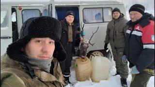 В поисках дикого северного оленя в Оленёкском районе