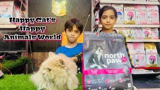 North Pow Grain Free Cat Food | Happy Cat’s Happy Animals World Hamza Aslam