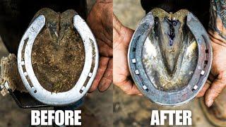 Satisfying Horse Hoof Restoration in 4K! | FARRIER ASMR