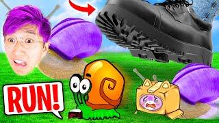 Can Foxy & Boxy Beat This SNAIL BOB PUZZLE GAME?! (WE FOUND A SNAIL RARI?!)