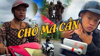 Chó Ma Cắn #videogiaitri #vochongson #nguyenhuyvlog