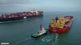 10 Largest Bulk Carriers in the World