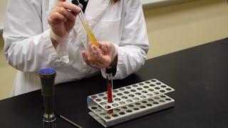 How to Inoculate a Slant - MCCC Microbiology