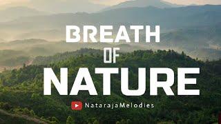 BREATH OF NATURE - Background Music for videos | No Copyright Music | Nataraja Melodies