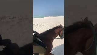 Horse riding