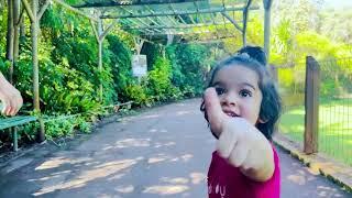 Nooni and Looli Visits Zoo I zoo animals I visit zoo park