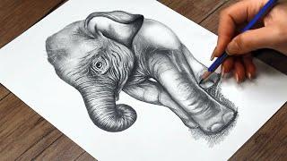 How to Draw a Baby Elephant Step by Step | Realistic Baby Elephant Drawing