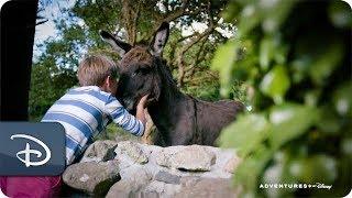 Having Fun Down on the Farm on the Adventures by Disney Ireland Vacation