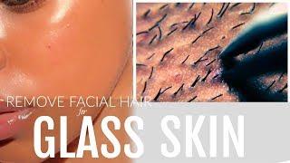 How to Get Rid of Facial Hair| Dermaplaning for Flawless 'GLASS SKIN'