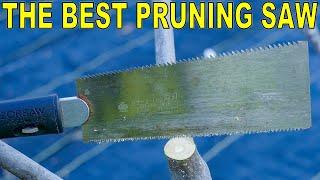 I Found the PERFECT PRUNING SAW For Pruning Fruit Trees!