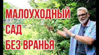 Малоуходный сад. Урожай без хлопот / Игорь Билевич
