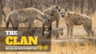 The Clan - Wild Africa, हिन्दी डॉक्यूमेंट्री | Discovery Channel Hindi documentary