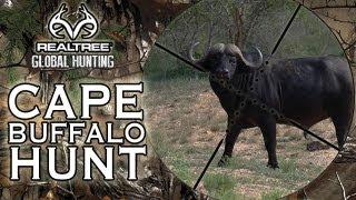 EXTREME HUNTING: Charging Cape Buffalo hunt in Mozambique