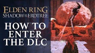 Elden Ring: Shadow of the Erdtree - How to Start The DLC