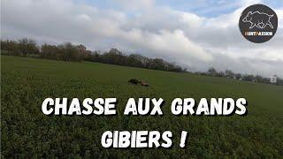 Chasse aux grands gibiers! Dans la traque ! #2