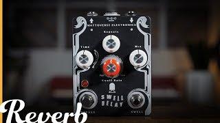 Mattoverse Electronics Swell Delay | Reverb Video Demo