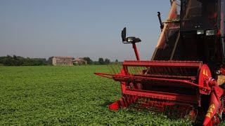 How we Farm - Orti dei Berici