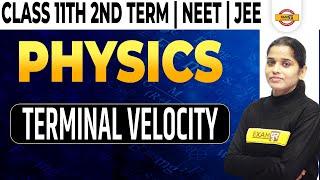 Physics CLASS 11th/2nd Term/NEET/JEE NEET 2022 | Physics Terminal Velocity | Physics By Preeti Mam