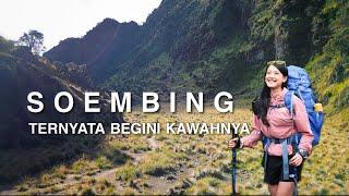 PENDAKIAN GUNUNG SUMBING via BANARAN | Sejarah Kawah Yang Sebenarnya...