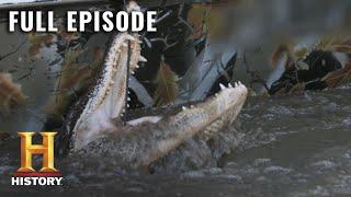 Swamp People: Cannibal Gator Hunt in the Big Bull Bayou (S11, E11) | Full Episode