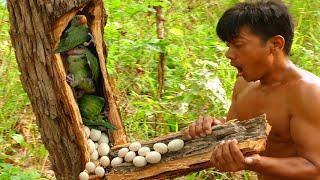 A Man Tear Wood To Find Parrots Eggs_ A lot of Birds in nest