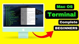 Master the Terminal in macOS: A Beginner's Guide 2023